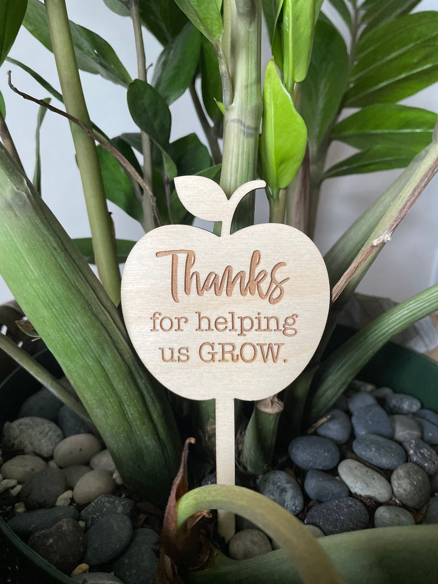 Personalized Teacher Plant Stake, Thanks For Helping Us Grow, Wood